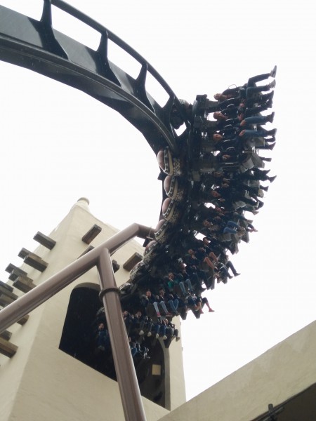 7 - Black Mamba.jpg