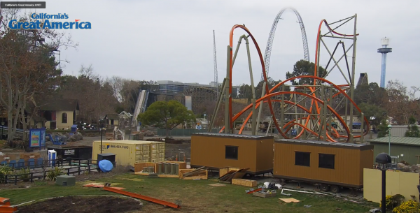 Bird on Roller coaster.PNG